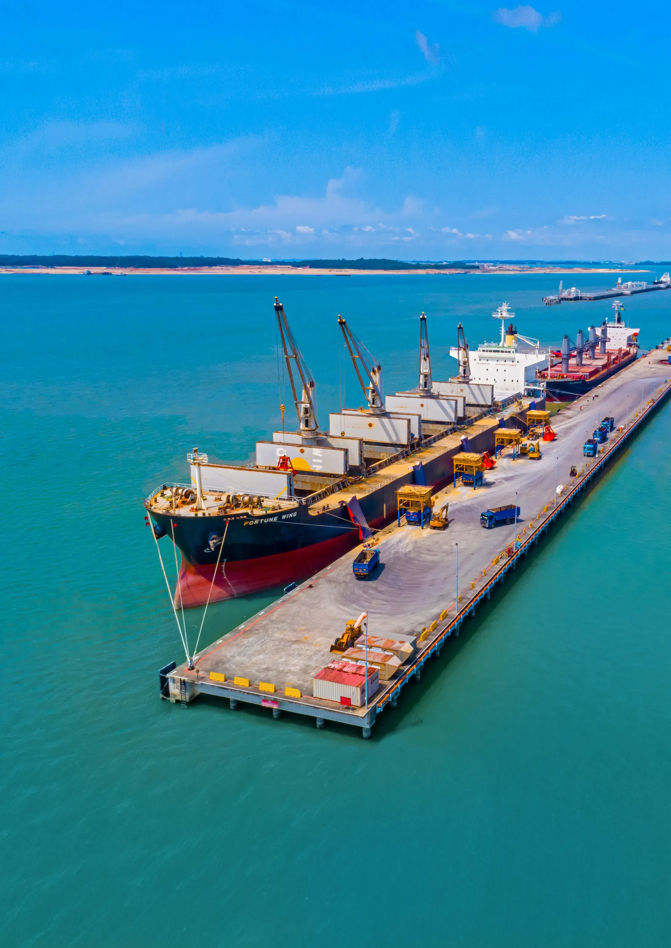 Bulk carrier alongside the multipurpose berth at Tanjung Langsat Port